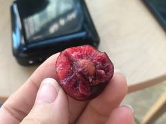 -菜园坝水果市场