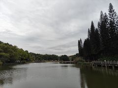 -三水森林公园