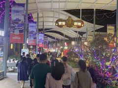 -三亚海昌梦幻海洋不夜城