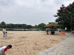 -上海佘山世茂艾美酒店