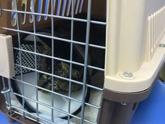 -美联众合动物医院(·中兽医·疑难杂症·严家桥分院)