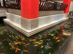 -龙悦湾酒家·八阵鱼生·渔人码头店