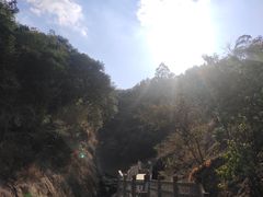 -广州白江湖森林公园