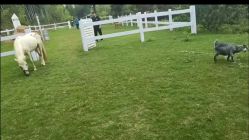 -莫奈庄园·儿童摄影馆·影视基地(江宁店)