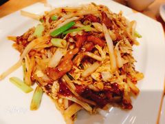 -丁老爷子苏香圆