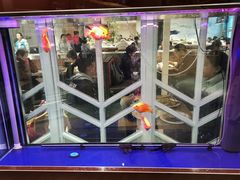 -比格比萨自助(国展店)