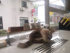 -灯塔咖啡馆BOOK·Coffee Shop
