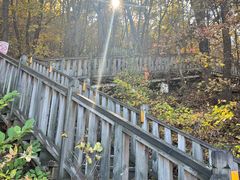 -帽儿山国家森林公园