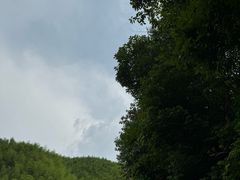 -将军关探险漂流