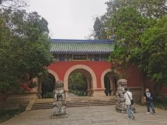 -灵谷景区