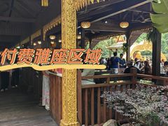 -西双版纳原始森林公园