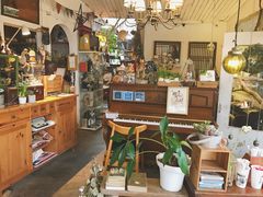 -懒鱼时光馆(沙坪坝店)