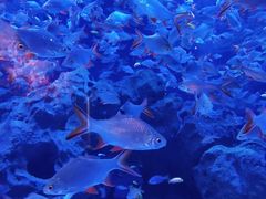 -成都浩海立方海洋公园