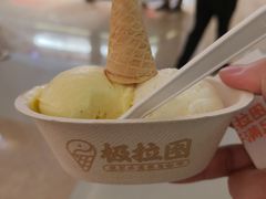 -极拉图·现制冰淇淋(大卫城店)