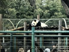 -北京动物园