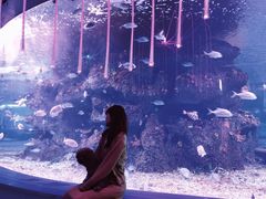 -沙沙哗啦海洋馆(华宇百花谷店)