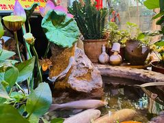 -多哥水傣味餐厅(司马巷店)