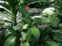 -北京植物园-展览温室