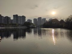 -新江湾城公园