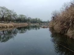 -白鹭湾湿地公园