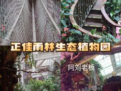 -正佳雨林生态植物园
