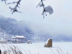 -鲁山国家森林公园