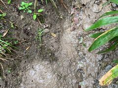 -天坑地缝国家地质公园-停车场