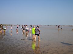 -南汇新城海滩