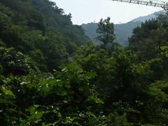 -牛鱼嘴原始生态风景区
