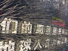 -火联烧烤(学院路创始店)