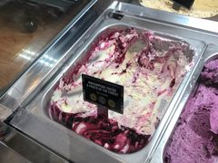 -Patagonia Chocolates(皇后镇店)