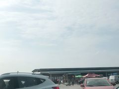 -韩家墅海吉星农产品批发市场
