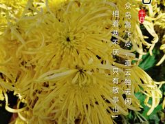 -EnergyCake蛋糕理想国