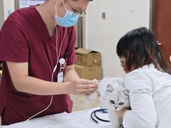 -美联众合动物医院·24h转诊中心