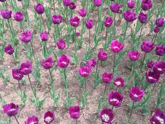 -长春公园(普阳街道)