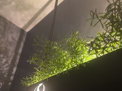 -华夏良子·足道SPA艾灸(铁道大厦店)