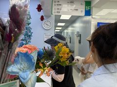 -中国农业大学动物医院