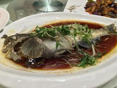 -頂好酒家·经典粤菜(海信广场店)