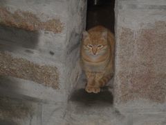 -胡里山炮台