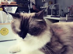 -灯塔咖啡馆BOOK·Coffee Shop
