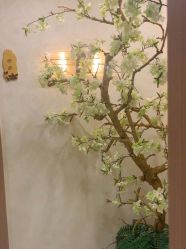 -芳朵美容养生SPA