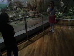 -陕西自然博物馆