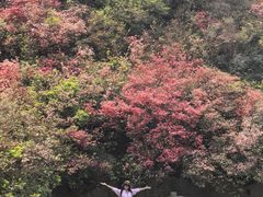 -木兰云雾山