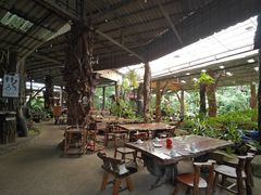 -绿光森林餐厅