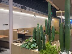 -醉得意·山茶油炒土鸡(泰安吾悦广场店)
