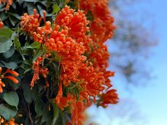 -桃花涧