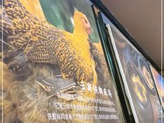 -云海肴·云南小炒·汽锅鸡(天津国金汇店)