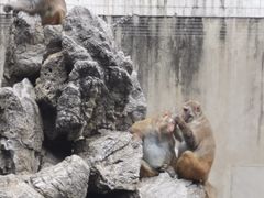 -攀枝花公园