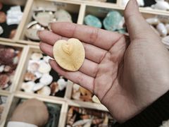 -中国湿地博物馆