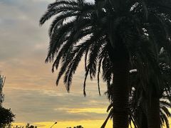 -舟山希尔顿酒店